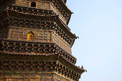 淑婷公欲息肉婷在厨房｜厨房精灵：淑婷公欲息肉婷，烹饪乐趣无限-2