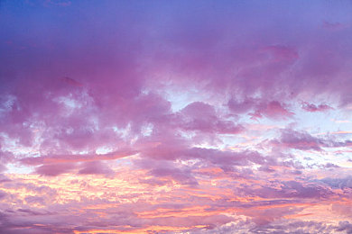 花心直播｜直播花心风波：清朗网络，健康直播新纪元-3