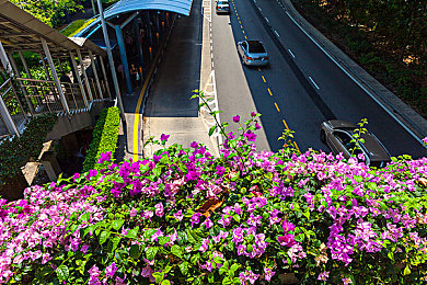 夫妻网|夫妻网助力现代婚恋:便捷高效,搭建幸福桥梁-4