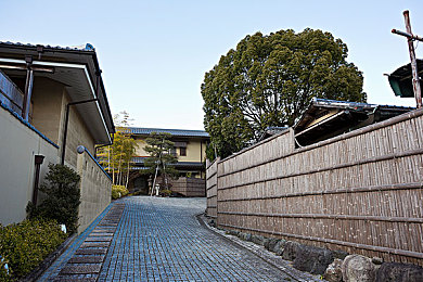 好.色.先.生|网络迷途:好色先生与净化之战-4