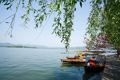 婷婷综合｜婷婷综合：都市探险，多元角色，沉浸体验-3