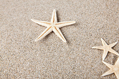 自由 西元 汇编｜科技人文交汇点，探索未来新篇章