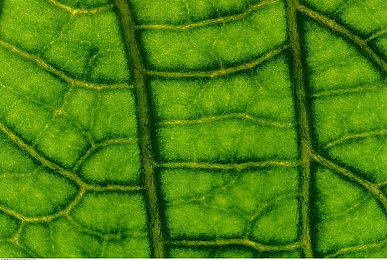 快色安装下载旧版安装包|软件更新兼容问题解决:官方紧急发布旧版安装包,用户好评如潮-3