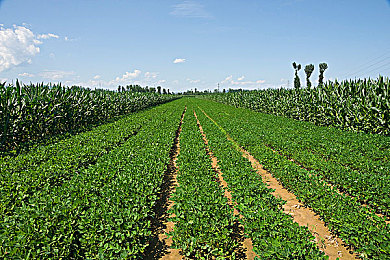 5g影院5g天线免费入口｜5G影院兴起，5G天线免费入口揭秘，开启观影新时代与高速网络无忧体验-2