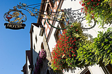 少年啊bgm房东太太身份｜温馨房东传奇，共筑青春旋律家园-1