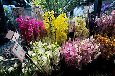 禁用的10大软件|数字时代阴影下的禁用软件揭秘:隐私、安全与权益的警示录-4