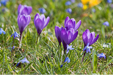 男按摩师把我弄高潮|身心放松,男按摩师奇遇记-1