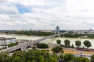 拉大车的小马我的妈妈安卓游戏｜亲子互动新风尚，温馨游戏《小马妈妈》引领育儿新潮流-2