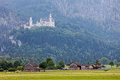 红猫已满18点此直接转｜红猫传奇：揭秘“已满18点此直接转”背后的狂欢与正能量-4