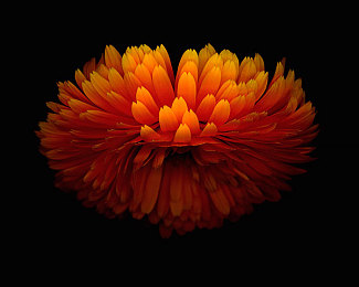 打光屁股秘 网站｜揭秘打光屁股秘：科学减肥之路，拒绝虚假宣传陷阱-4