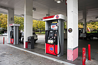 向日葵草莓丝瓜樱桃秋葵绿巨人｜绿色滋养，健康生活新风向标-2