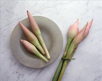 推特r8破解版免费网站｜“解锁无限可能：揭秘推特R8破解版免费网站，带你畅享社交新体验”-3