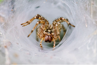 973商务旅行中戴绿色帽子｜职场风波：绿帽风波下的商务道德考验-5