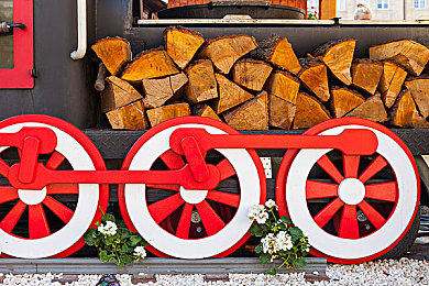 大象回家三秒跳永不迷路｜科技护航，大象归途：三秒导航破解迷途困境-2