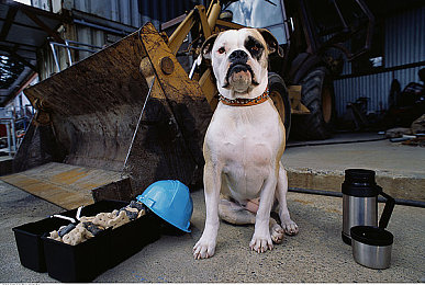 黄色暗网｜隐秘网络困扰青少年心理的社会隐患与对策-3