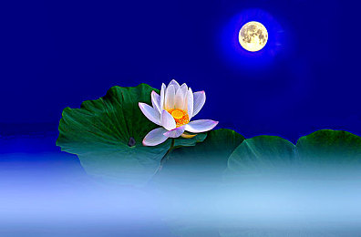 被同学粗大的 巴进出|“笑谈变悲剧,校园欺凌警示录:尊重与关爱,共筑和谐校园”-2