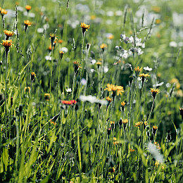 17c吃瓜爆料黑料网曝门|网络热潮揭示隐私权危机与吃瓜文化冲突-4