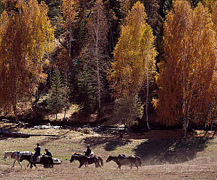 体育生自慰出精｜体育青春：揭秘自慰真相，守护身心健康之旅-2