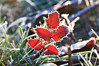 黑料不打烊黑料不打烊吃瓜曝光|明星隐私曝光引发的社会道德拷问-2
