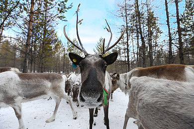 国产AV秘 天美传媒｜探索情感与欲望的秘境之旅-3
