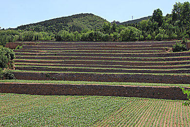 欧美wwww|“解码‘欧美wwww’:探究网络新词汇背后的文化潮流与青年心态”-3