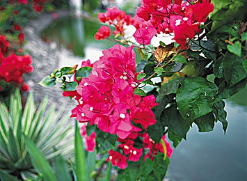 中国妓女卖婬|揭示黑暗,改变命运:中国妓女生存挑战-1