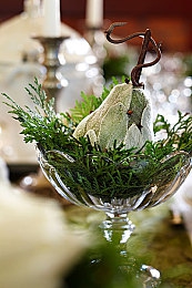 ZZZZZ女人与牛oooo｜神秘传说：ZZZZZ女子与牛oooo的智慧共舞-3