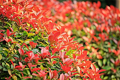 污网站APP｜网络毒瘤“污网站APP”：净化网络，守护青春清朗空间-5