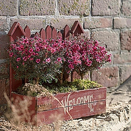 一个 B三个人换着玩|“一个B,三人轮换玩”新潮流游戏模式兴起,互动协作开启游戏新体验-1