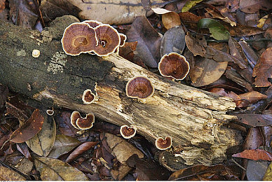 公交车上内裤扯掉被cao|“公交尴尬瞬间引深思:文明秩序,你我共守”-2