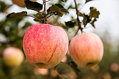 将界2第3集精彩片段热度38·｜《将界2》第3集引发热议：视觉盛宴与情感触动，主角命运再起波澜-3