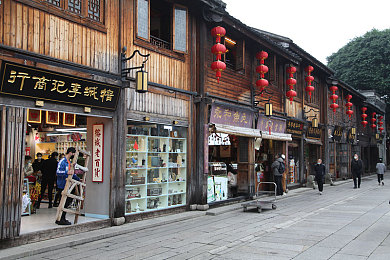 中国浓毛大泬特写｜浓毛大陆奇幻探险：东方神器大泬寻踪之旅