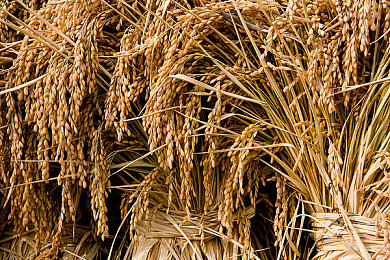 男生和女生一起差差的软件|打破界限,共筑“差差”社交新天地-4