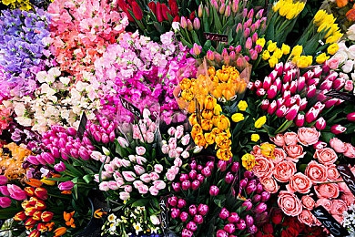 黑料不打烊官网苹果｜真相与谎言的博弈在网络间交锋-3