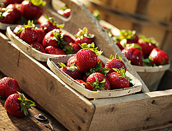 爱豆陈可心完整版免费观看｜星梦之旅：陈可心养成记，免费追星体验，娱乐无限畅享-2