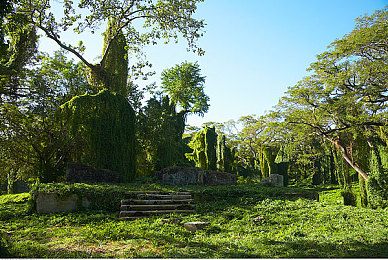 51娜娜｜时尚创业传奇：51娜娜的女性力量崛起之旅-2