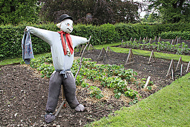 五月婷婷网｜社交平台新兴巨头崛起，信息安全亟需关注-4