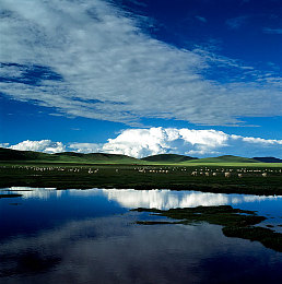 男被绑住四肢取精Gay｜震惊！同性恋者被绑四肢取精，警方全力追捕犯罪嫌疑人-2