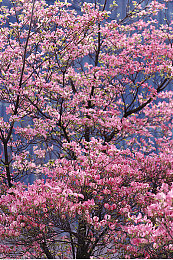 视频三区|视频互动体验区的情感共鸣之旅-3