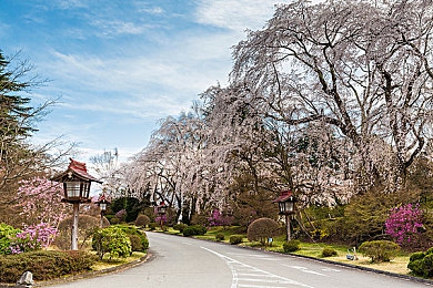 免费剧烈运动扑克视频下载网站|健身娱乐两不误:“免费剧烈运动扑克视频下载网站”融合健身与娱乐,好评如潮-4