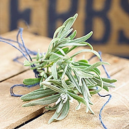 北欧精灵melody三部曲｜北欧神话奇遇记：Melody魔法冒险之旅-3