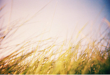 红缨用自己的枪 自己的B｜红缨定制枪械，个性战场独领风骚-3