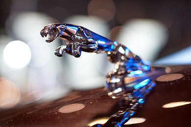 女生和男生一起差差差APP2024最新｜跨越性别界限，互动乐翻天——差差差APP2024