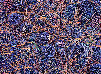 军人chinese猛男gⅤ自慰｜守护荣耀：揭秘军纪风暴-3