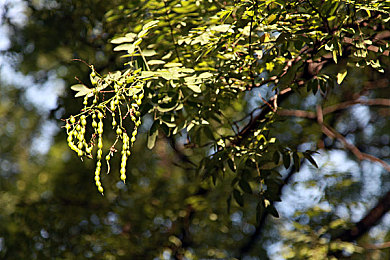 操逼软件免费｜免费应用引发争议，科技与道德的交锋-3