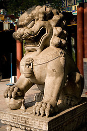 极端,奴役,支配,电刑折磨｜“骇人听闻：电刑奴役案揭露人性黑暗，全社会共筑安全防线”-5