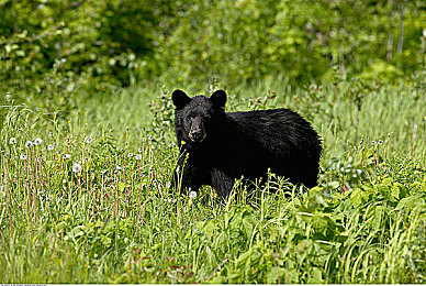 天美星空无限|星空之旅,璀璨无限,文旅融合新篇章-2