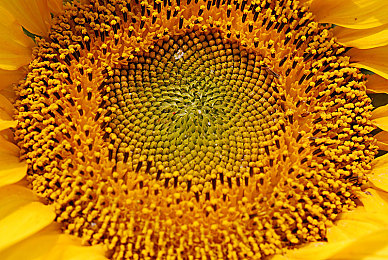 美女打屁屁内裤都脱了｜时尚界新潮流揭秘：美女打屁屁内裤脱，挑战传统审美引发热议-3