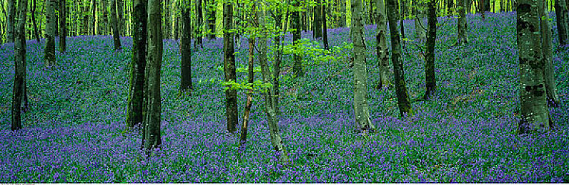 91喑网|影视盛宴,91喑网打造你的专属观影乐园-1