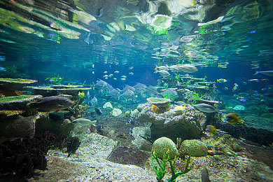 dd4破解版无限金币｜破解游戏潮流引发的法律与道德辩论-5